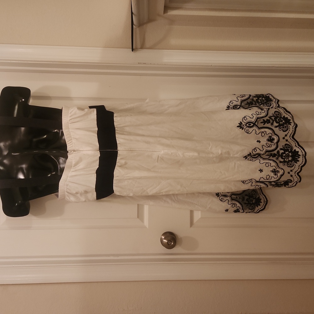 Torrid Embroidery and Toile Bottom Flutter Hemline Dress - Picture 5 of 8
